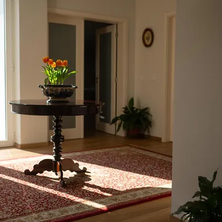 Alojamento de Turismo Rural Casa D'acucanha