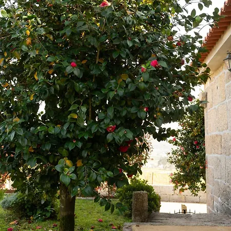 Casa D'acucanha Farmház